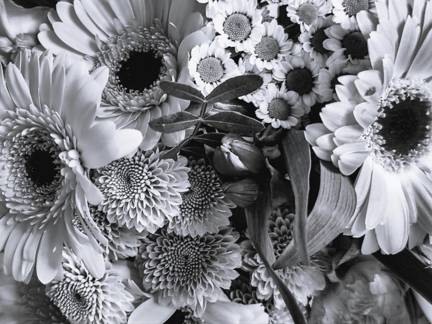 Close-up view of parallel stem arrangement in contemporary floral design